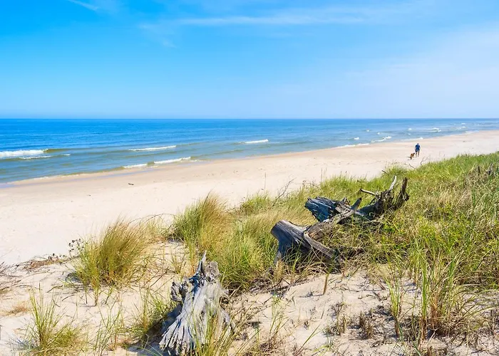 بيت خشبي Bryza I *